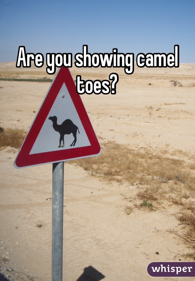 Are you showing camel toes?