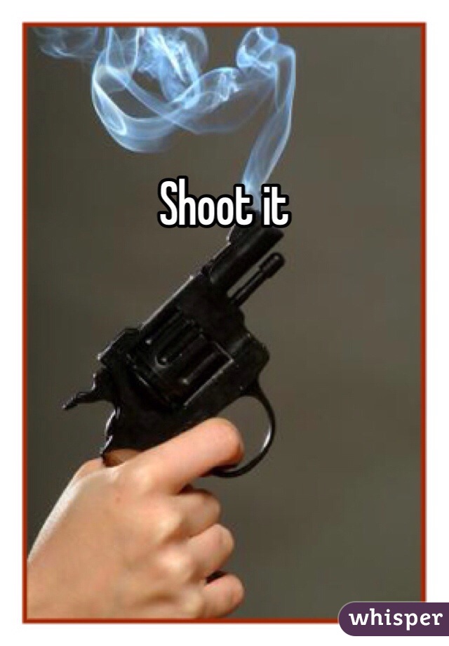 Shoot it