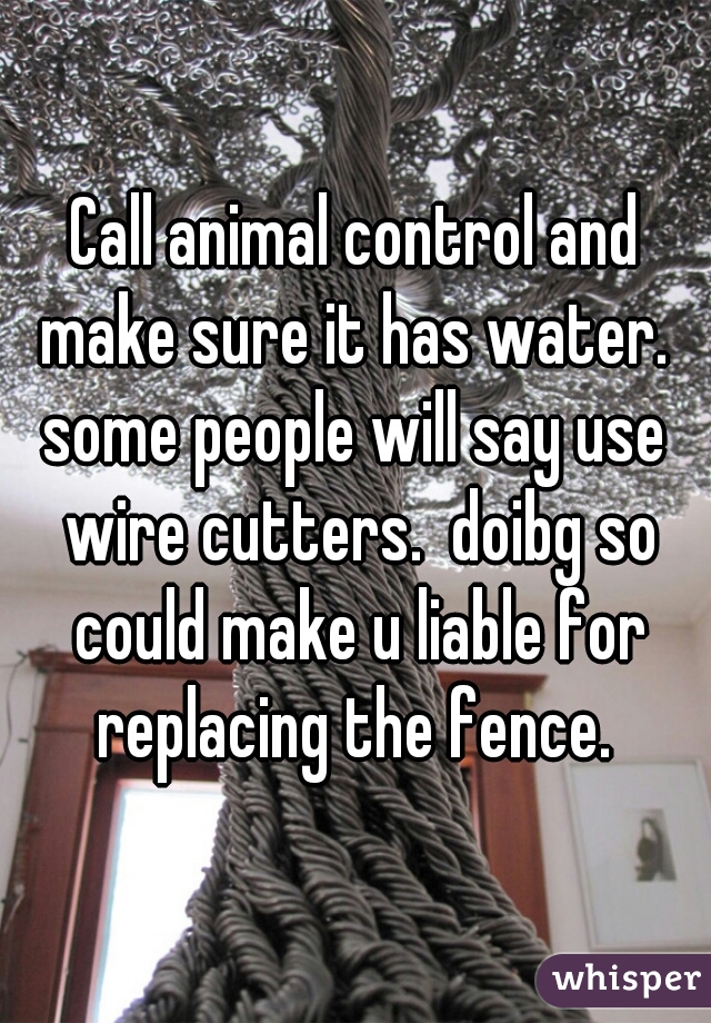 Call animal control and make sure it has water. 

some people will say use wire cutters.  doibg so could make u liable for replacing the fence. 