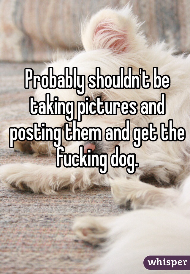 Probably shouldn't be taking pictures and posting them and get the fucking dog. 