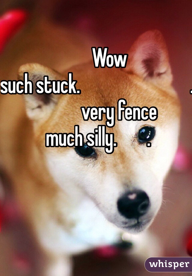       Wow
such stuck.                             .                                               
           very fence
much silly.        .      
