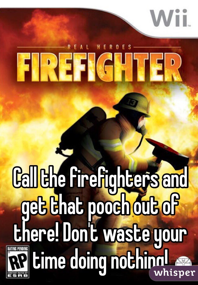 Call the firefighters and get that pooch out of there! Don't waste your time doing nothing!