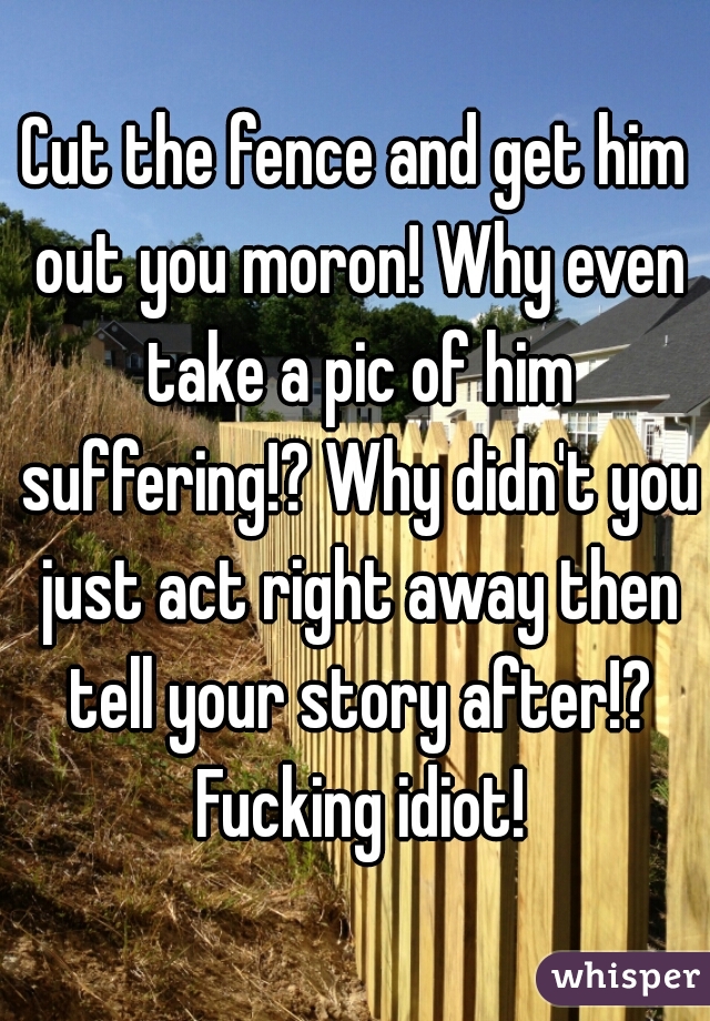 Cut the fence and get him out you moron! Why even take a pic of him suffering!? Why didn't you just act right away then tell your story after!? Fucking idiot!