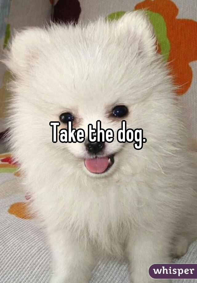 Take the dog.