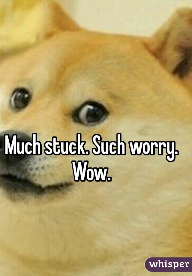 Much stuck. Such worry. Wow.