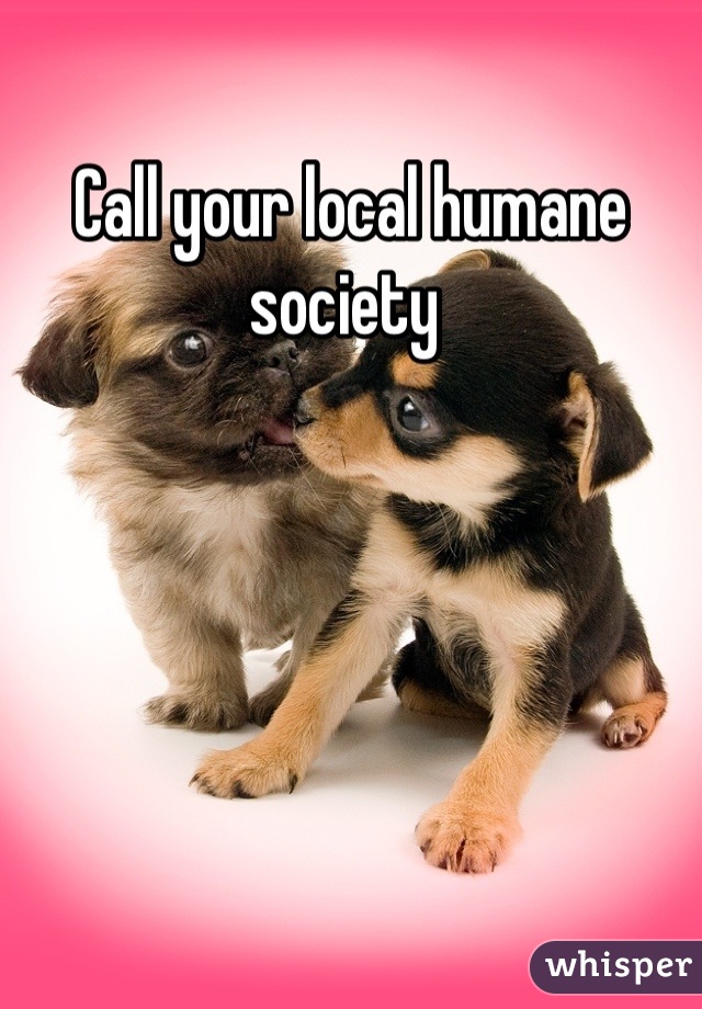 Call your local humane society 