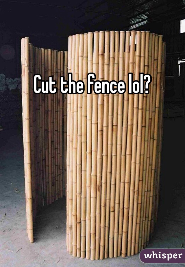 Cut the fence lol?