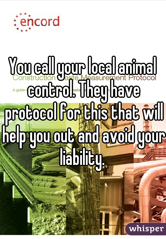 You call your local animal control. They have protocol for this that will help you out and avoid your liability. 