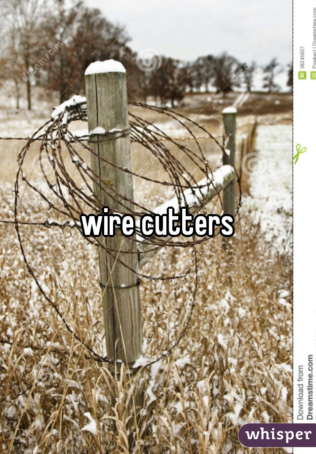 wire cutters