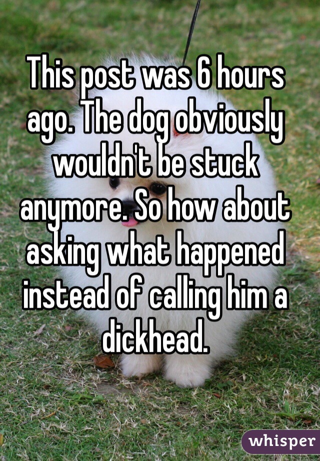 This post was 6 hours ago. The dog obviously wouldn't be stuck anymore. So how about asking what happened instead of calling him a dickhead. 