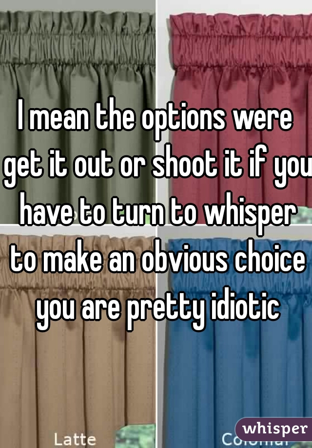 I mean the options were get it out or shoot it if you have to turn to whisper to make an obvious choice you are pretty idiotic