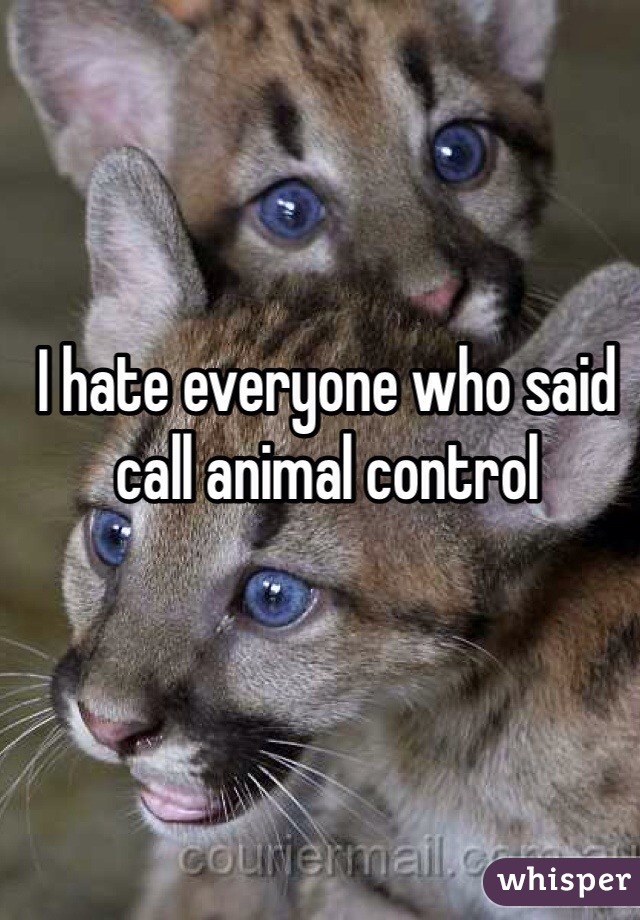 I hate everyone who said call animal control