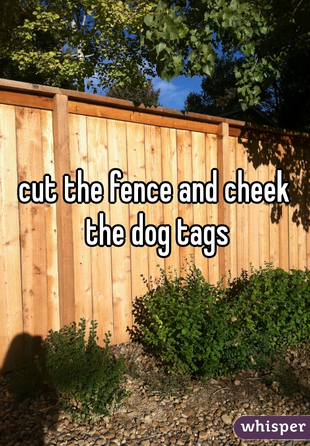 cut the fence and cheek the dog tags