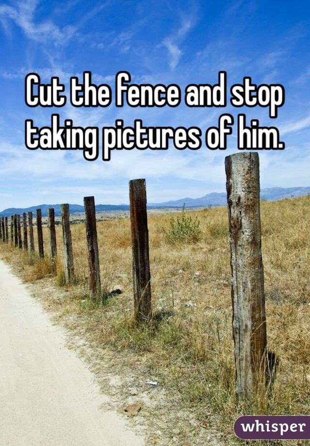 Cut the fence and stop taking pictures of him.