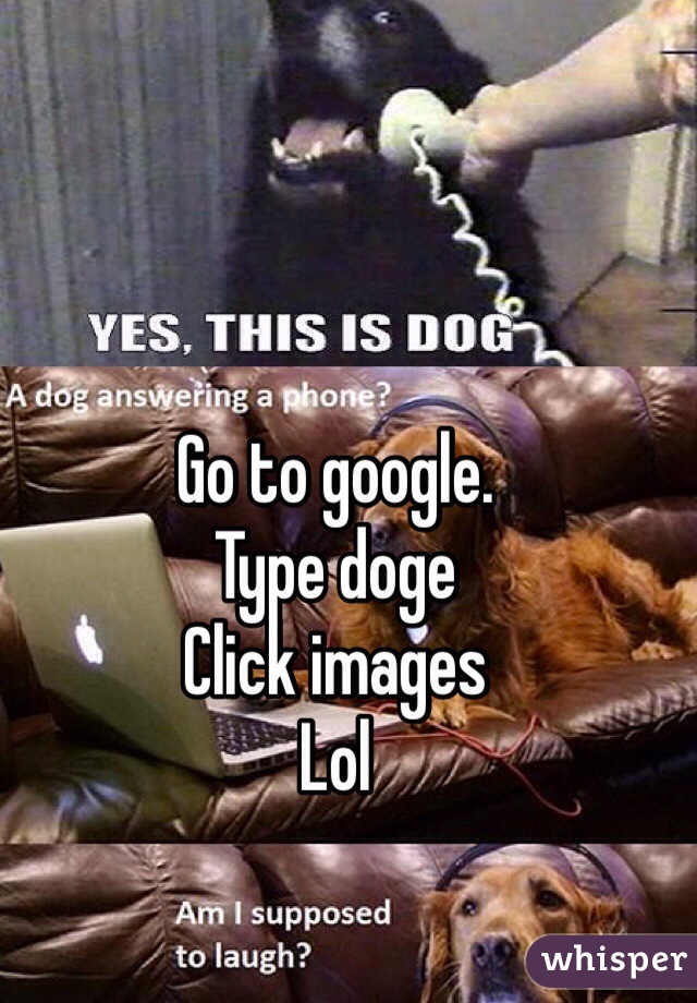 Go to google.
Type doge
Click images 
Lol