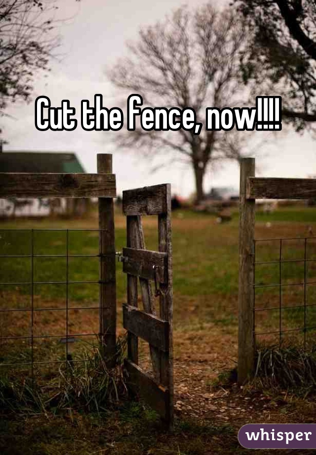 Cut the fence, now!!!!