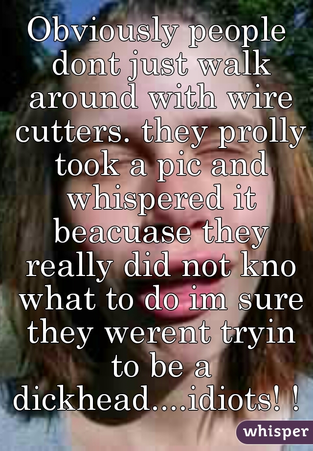 Obviously people dont just walk around with wire cutters. they prolly took a pic and whispered it beacuase they really did not kno what to do im sure they werent tryin to be a dickhead....idiots! ! 