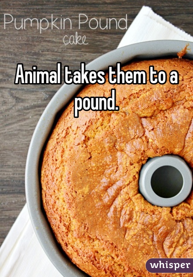 Animal takes them to a pound. 