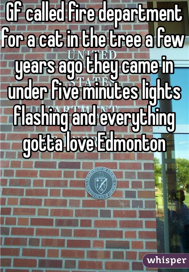 Gf called fire department for a cat in the tree a few years ago they came in under five minutes lights flashing and everything gotta love Edmonton