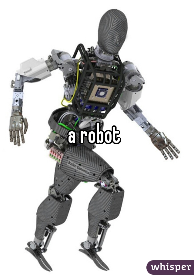 a robot 