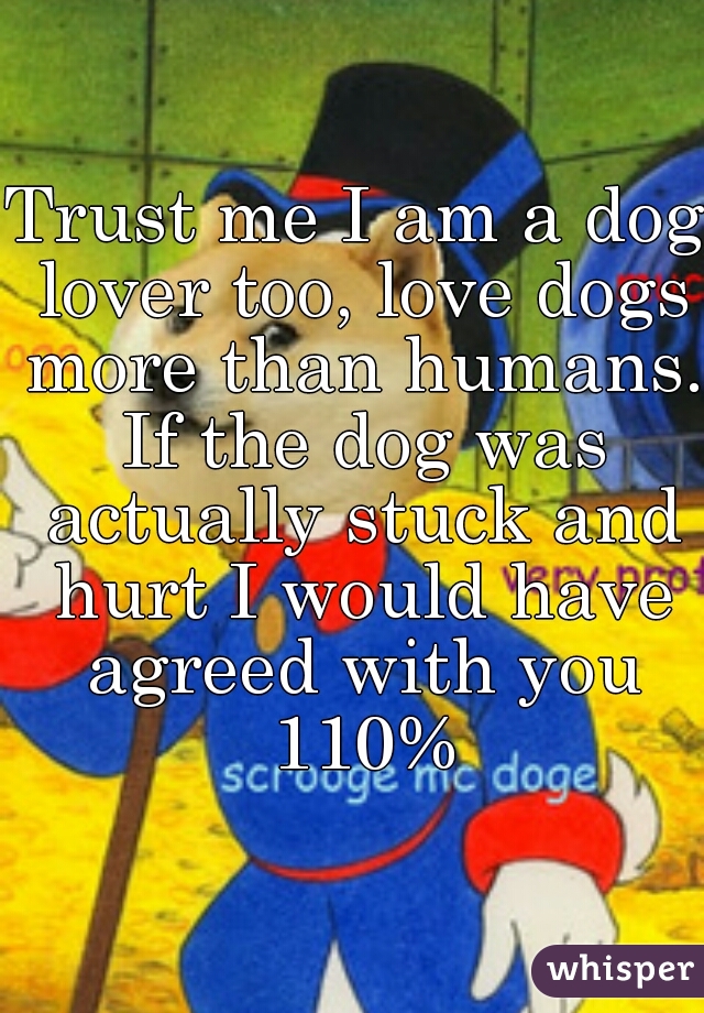 Trust me I am a dog lover too, love dogs more than humans. If the dog was actually stuck and hurt I would have agreed with you 110%