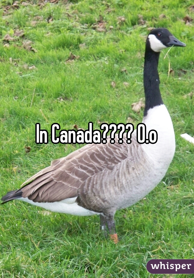 In Canada???? O.o