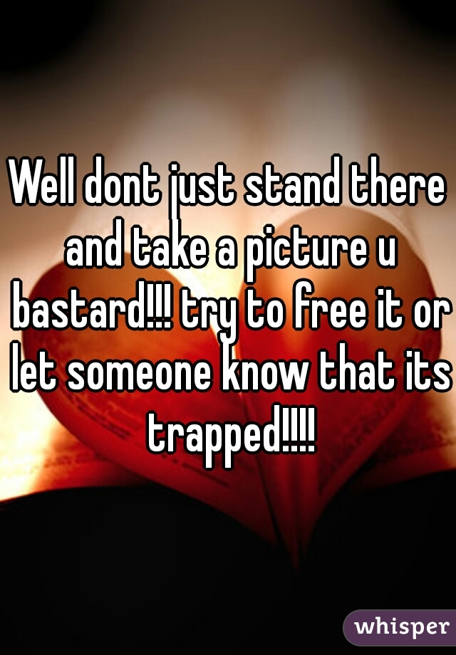 Well dont just stand there and take a picture u bastard!!! try to free it or let someone know that its trapped!!!!