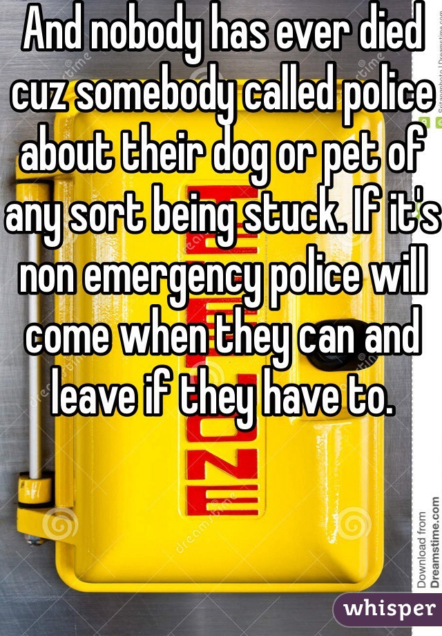 And nobody has ever died cuz somebody called police about their dog or pet of any sort being stuck. If it's non emergency police will come when they can and leave if they have to. 