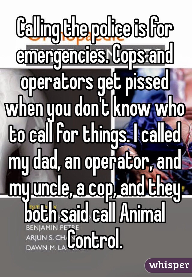 Calling the police is for emergencies. Cops and operators get pissed when you don't know who to call for things. I called my dad, an operator, and my uncle, a cop, and they both said call Animal Control.