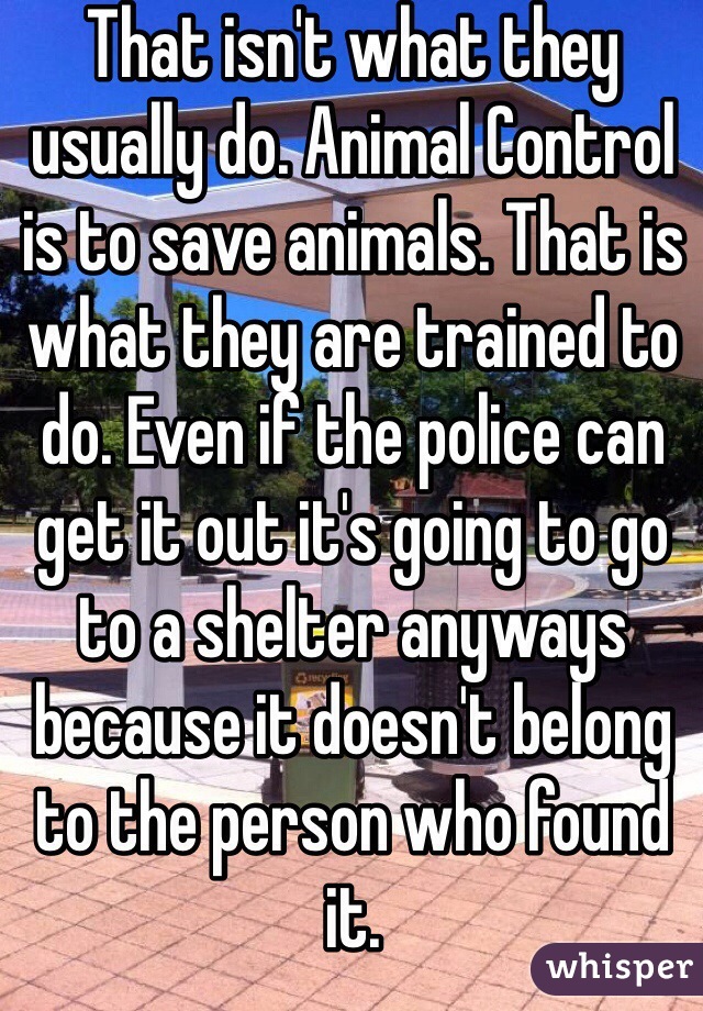 That isn't what they usually do. Animal Control is to save animals. That is what they are trained to do. Even if the police can get it out it's going to go to a shelter anyways because it doesn't belong to the person who found it.