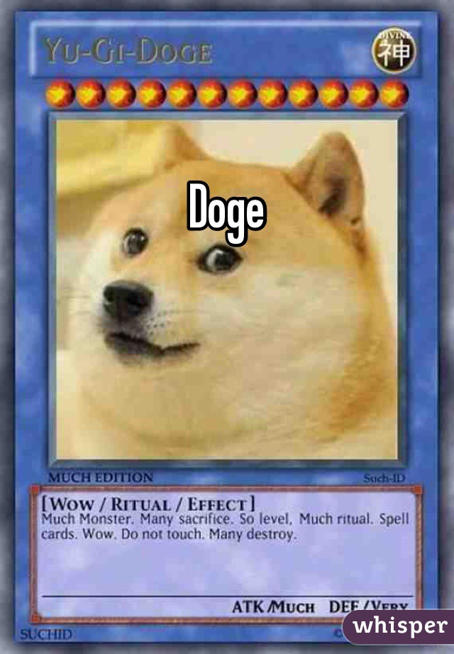 Doge