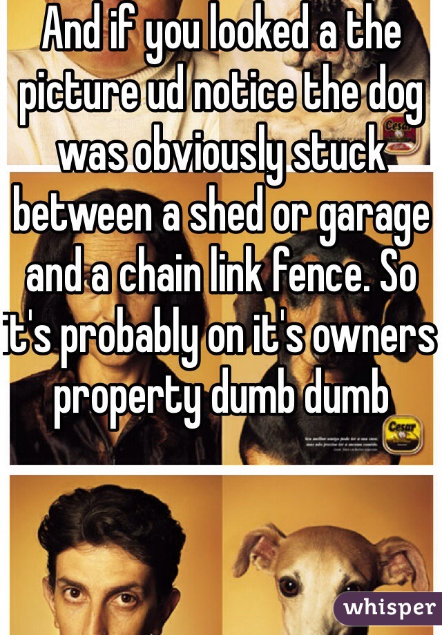 And if you looked a the picture ud notice the dog was obviously stuck between a shed or garage and a chain link fence. So it's probably on it's owners property dumb dumb