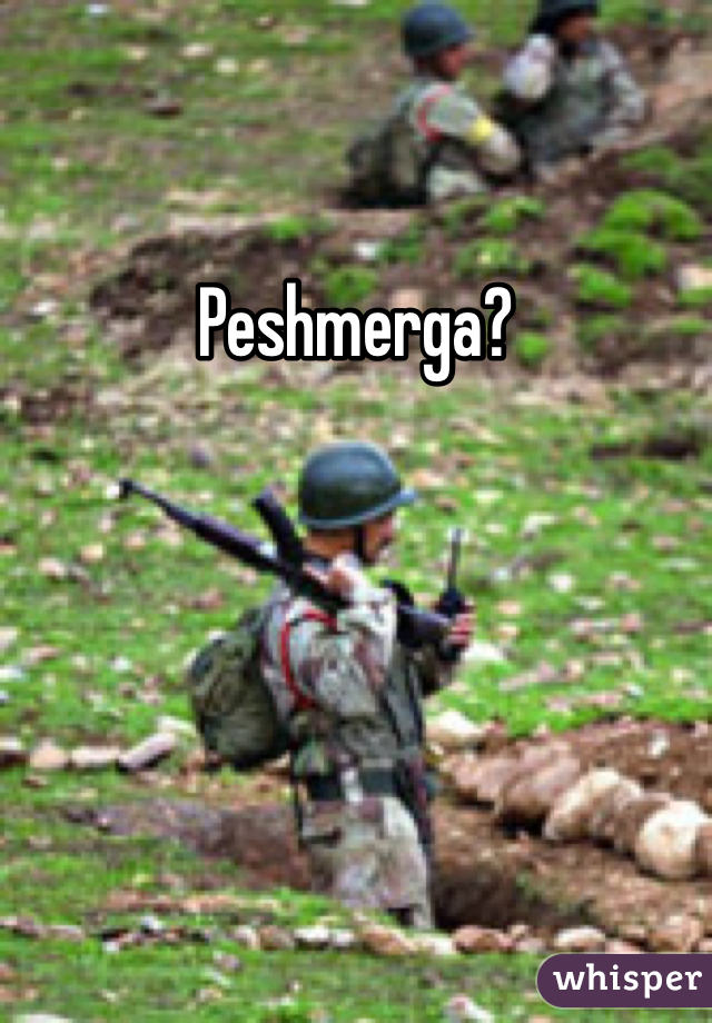 Peshmerga?