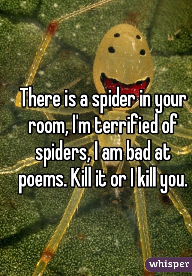 There is a spider in your room, I'm terrified of spiders, I am bad at poems. Kill it or I kill you.