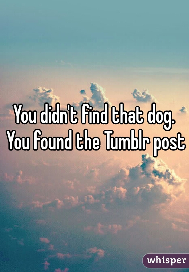 You didn't find that dog. You found the Tumblr post.