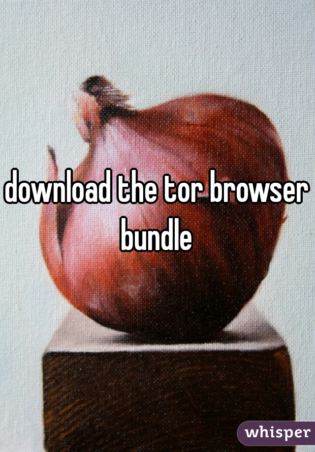 download the tor browser bundle 