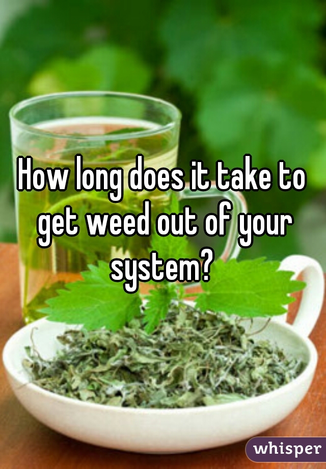 How long does it take to get weed out of your system? 