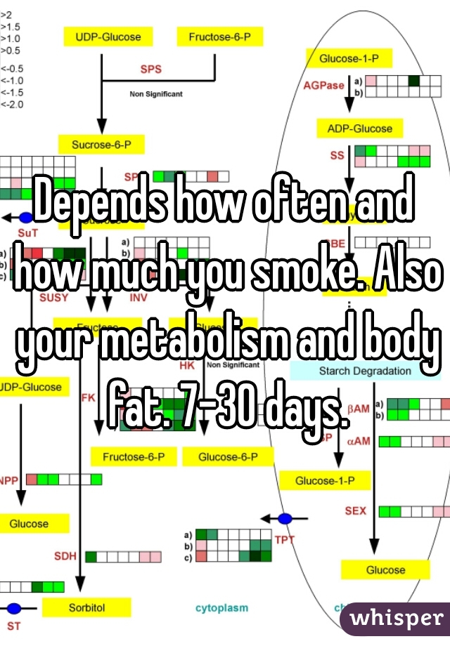 Depends how often and how much you smoke. Also your metabolism and body fat. 7-30 days.