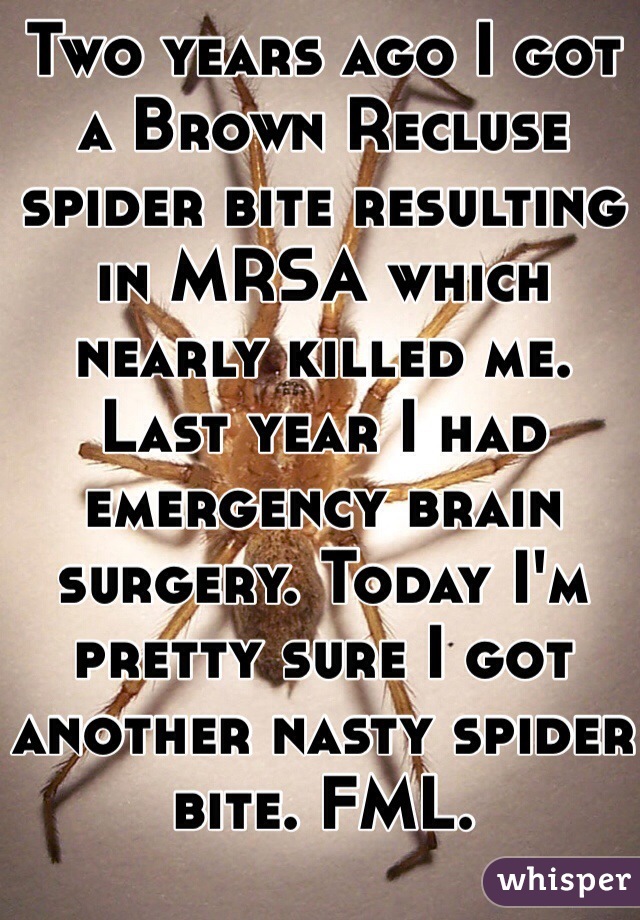 Two years ago I got a Brown Recluse spider bite resulting in MRSA which nearly killed me. Last year I had emergency brain surgery. Today I'm pretty sure I got another nasty spider bite. FML.