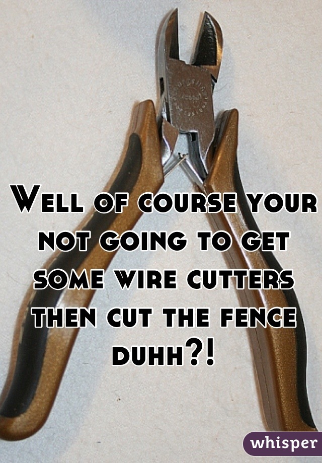 Well of course your not going to get some wire cutters then cut the fence duhh?!