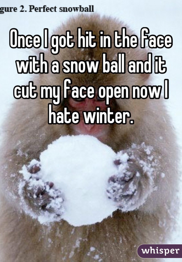 Once I got hit in the face with a snow ball and it cut my face open now I hate winter.