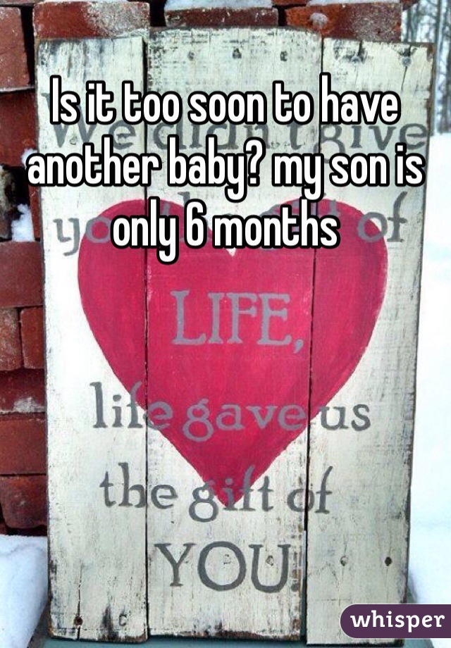 Is it too soon to have another baby? my son is only 6 months