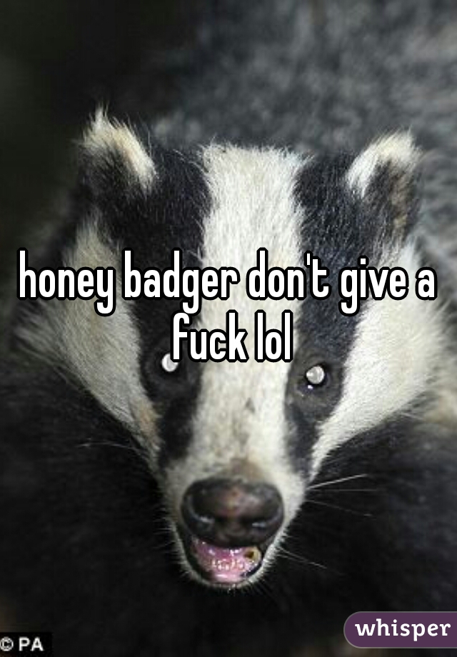 honey badger don't give a fuck lol