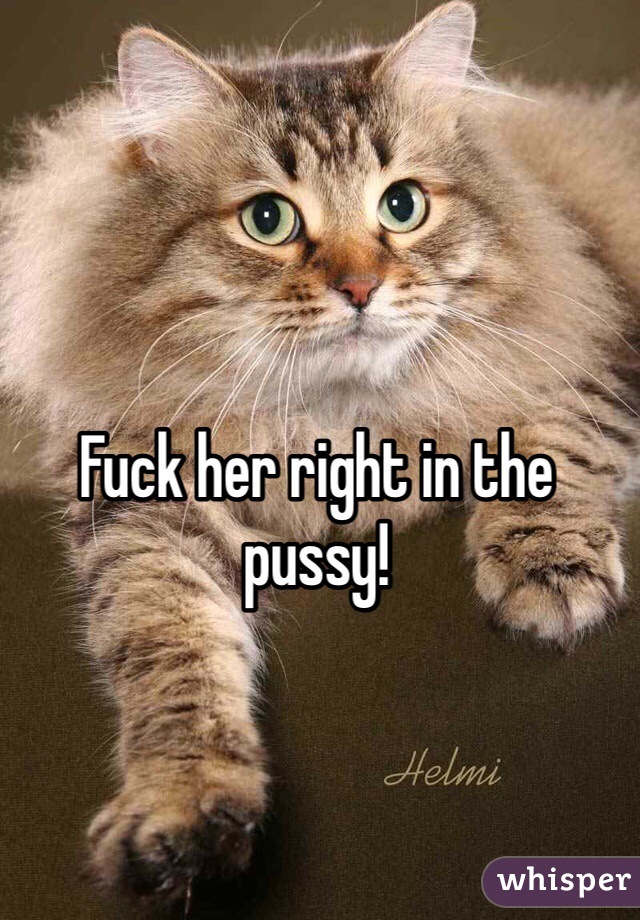 Fuck her right in the pussy!