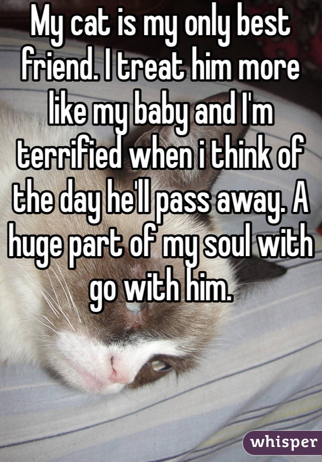 My cat is my only best friend. I treat him more like my baby and I'm terrified when i think of the day he'll pass away. A huge part of my soul with go with him. 
