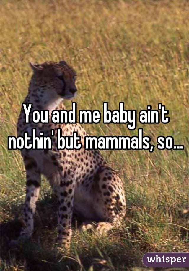 You and me baby ain't nothin' but mammals, so...