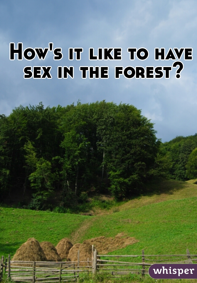 How's it like to have sex in the forest?