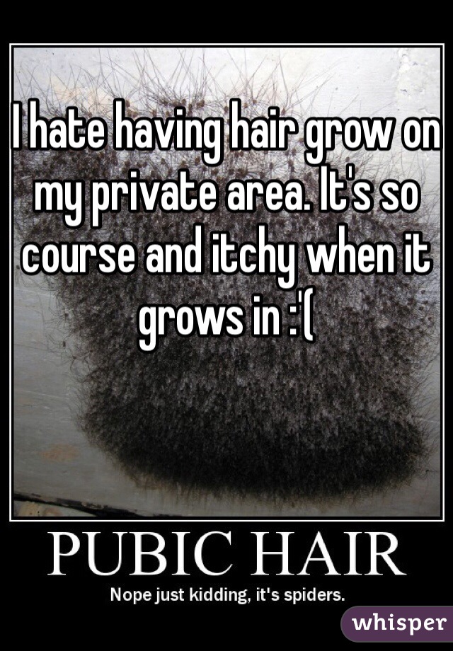 I hate having hair grow on my private area. It's so course and itchy when it grows in :'( 