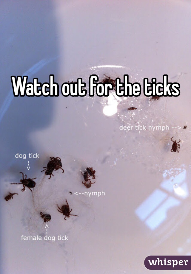 Watch out for the ticks