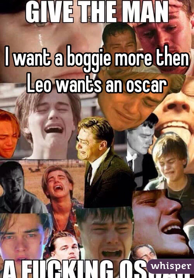 I want a boggie more then Leo wants an oscar 